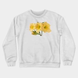 Hemerocallis  Daylily Crewneck Sweatshirt